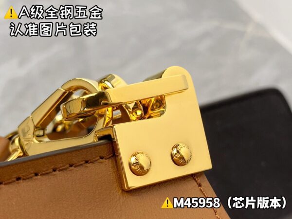 img_0767 DAUPHlNE Medium M45958 New Size 25x17x10.5 cm