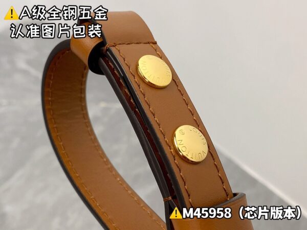 img_0768 DAUPHlNE Medium M45958 New Size 25x17x10.5 cm