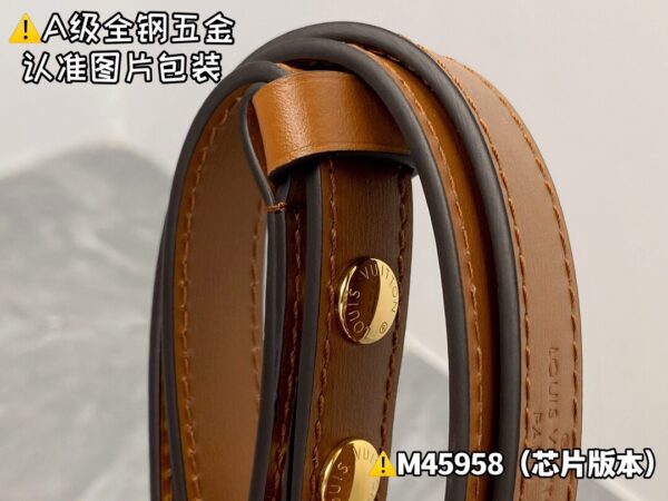 img_0769 DAUPHlNE Medium M45958 New Size 25x17x10.5 cm