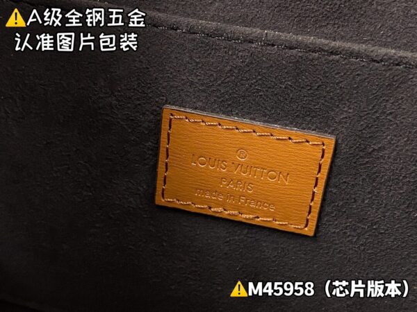 img_0771 DAUPHlNE Medium M45958 New Size 25x17x10.5 cm