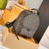 PALM SPRINGS Medium Backpack M44874 Size 30x33x16 cm