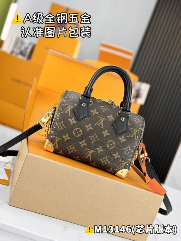 img_2067 SPEEDY TRUNK 20 M13146 Size 13.5 x 11 x 20.5