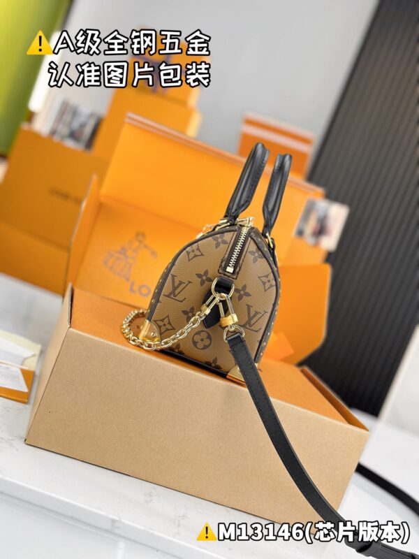 img_2068 SPEEDY TRUNK 20 M13146 Size 13.5 x 11 x 20.5