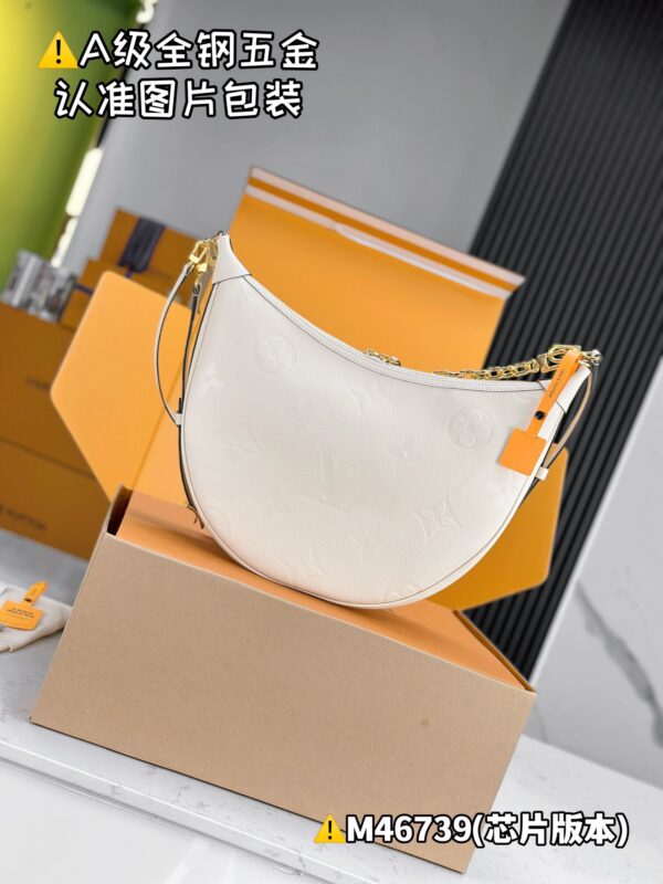 img_8652 LOOP HOBO M46739 Size 38x26x10 cm