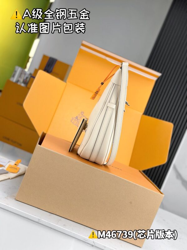 img_8653 LOOP HOBO M46739 Size 38x26x10 cm