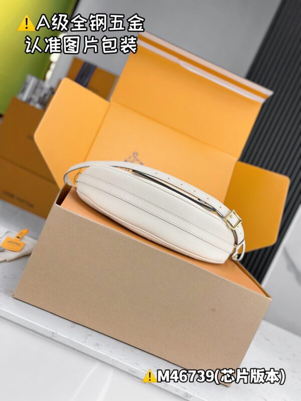 img_8654 LOOP HOBO M46739 Size 38x26x10 cm