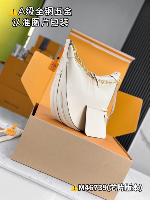 img_8657 LOOP HOBO M46739 Size 38x26x10 cm