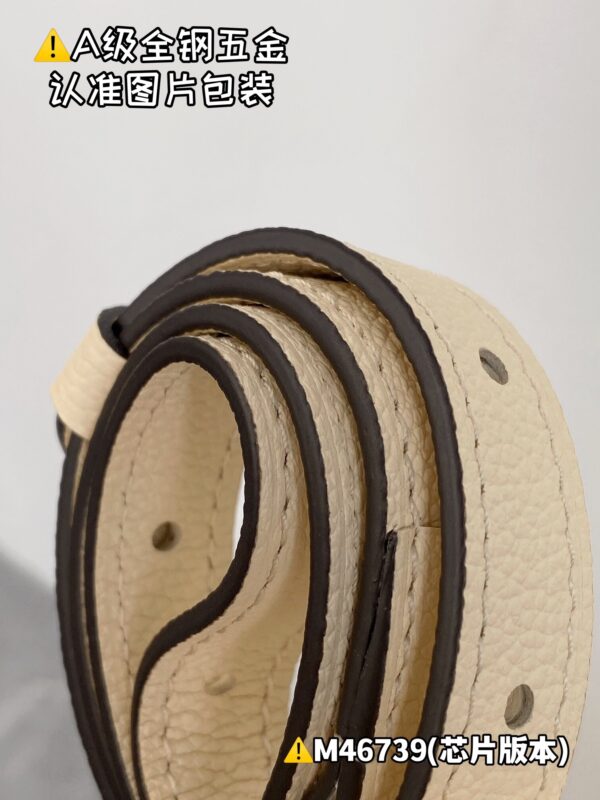 img_8662 LOOP HOBO M46739 Size 38x26x10 cm