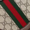 God Factory Gucci 𝐎𝐩𝐡𝐢𝐝𝐚 𝐆𝐆 550618 Size 18*18*4.5cm