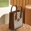 God Factory Gucci 𝐓𝐨𝐭𝐞 𝐌𝐢𝐧𝐢 671623 Size 16*20*7cm