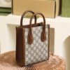God Factory Gucci 𝐓𝐨𝐭𝐞 𝐌𝐢𝐧𝐢 671623 Size 16*20*7cm
