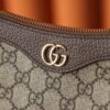 God Factory Gucci 𝐎𝐩𝐡𝐢𝐝𝐢𝐚 735132 Size 25*15.5*6cm