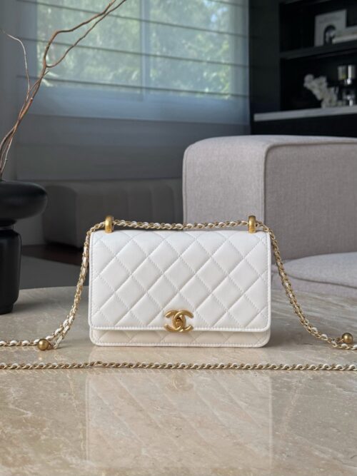 img_6558-2 God Factory Chanel Bags Code 10098 25S Woc Size 12.3x19.2x3.5cm