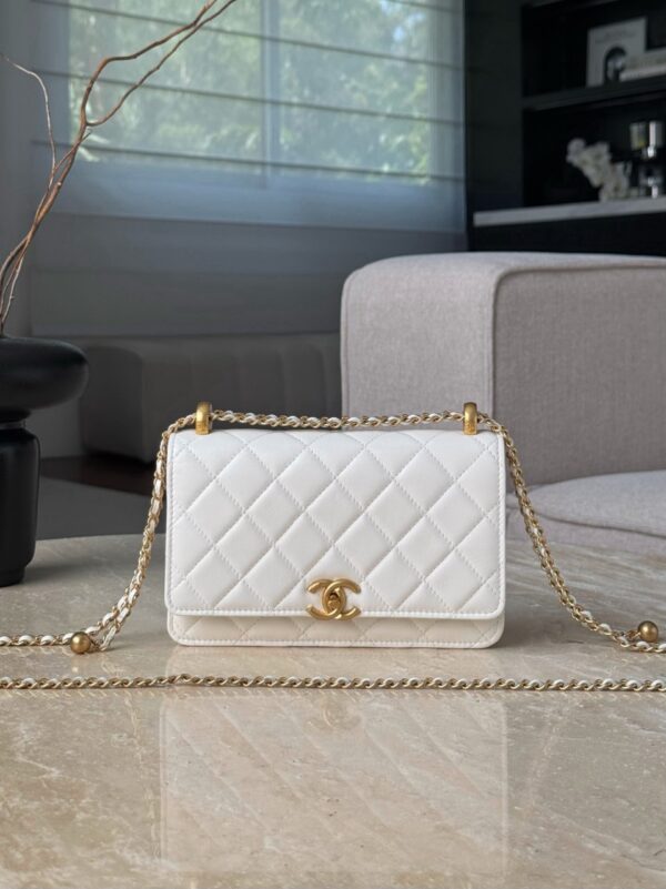 God Factory Chanel Bags Code 10098 25S Woc Size 12.3x19.2x3.5cm