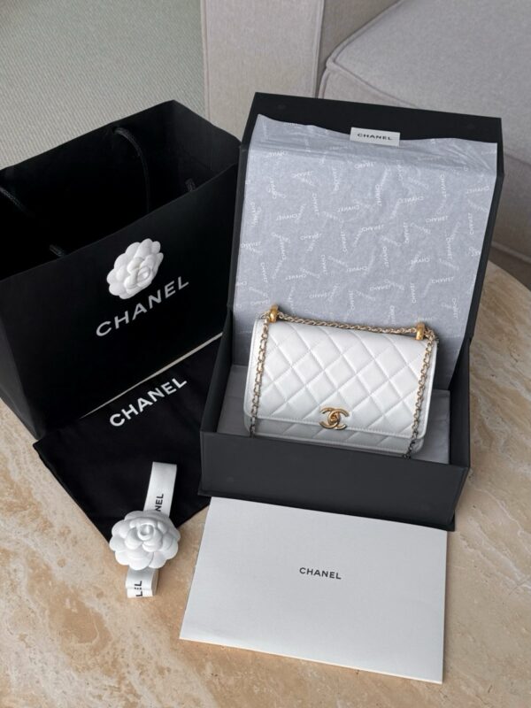 God Factory Chanel Bags Code 10098 25S Woc Size 12.3x19.2x3.5cm