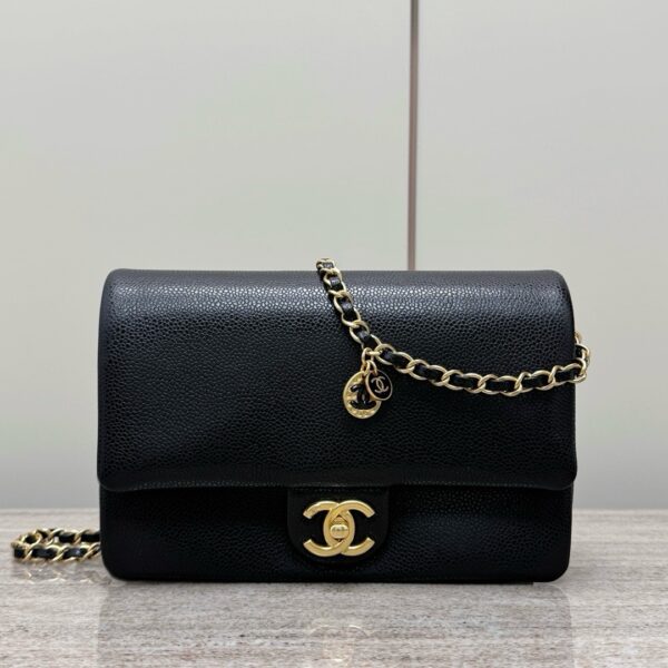 God Factory Chanel Bags Code 10194 24K Size 23x15x8cm