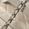 God Factory Chanel Bags Code 10246 25C LP Size 17x19.5x5cm