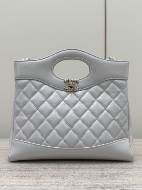 God Factory Chanel Bags Code 10270 25P 31 Bag Nano Size 22x23x5.5cm